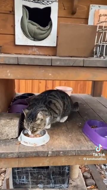 А ты знал(а) что есть такой город?