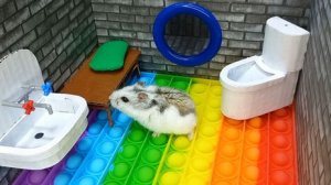 Хомячок в лабиринте 🐹 Большое путешествие 😁