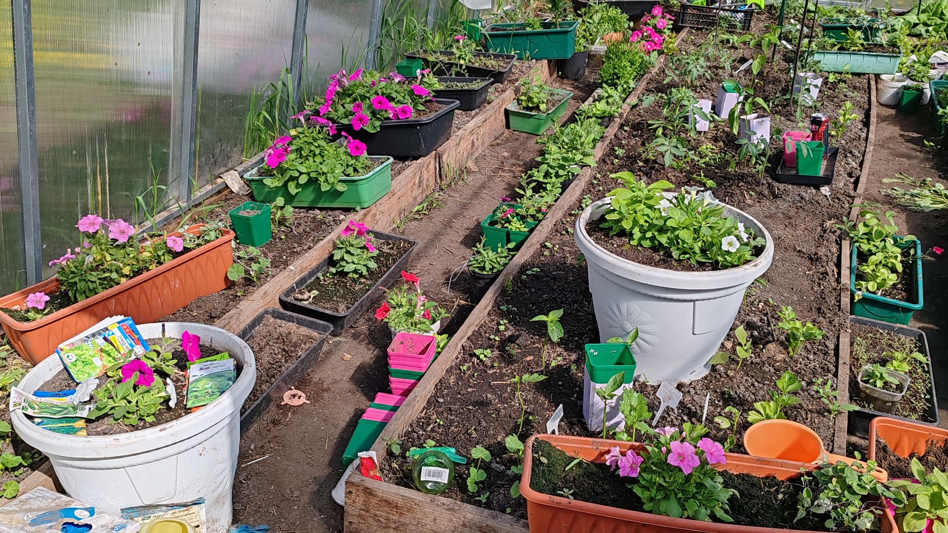 Открытие Сезона 2025 смотреть онлайн