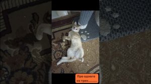 "Живёт с матерью- отцом". Судьба одного из трёх.