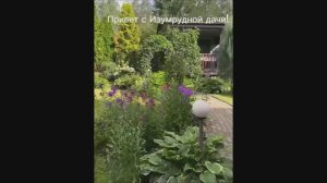 Привет с Изумрудной дачи!!!