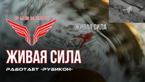 Донбасс. оператор FPV-дрона Центра «Рубикон» обнаружил боевика ВСУ и ударил по нему.