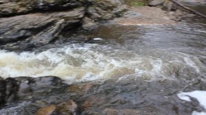 MVI_6294