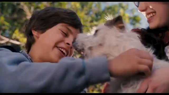 film35 смотреть онлайн