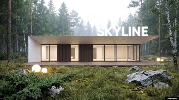 Современный дом 140м² с плоской крышей и панорамными окнами SKYLINE-140 | by thelines.ru