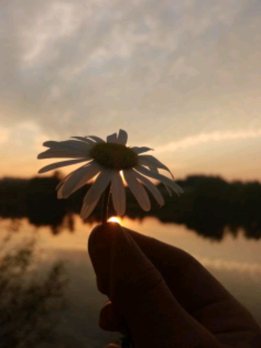 не знаю смотреть онлайн