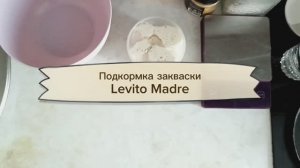 Подкормка закваски Levito Madre