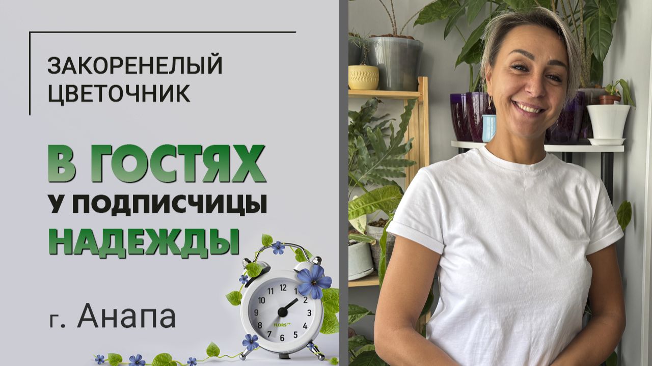 В гостях у Надежды. г. Анапа. Лучезарная хозяйка, очаровательные коты и интересные растения. смотреть онлайн
