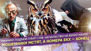 Наука разрешает спать, психологи запрещают меняться, а мошенники мстят: Руководство по выживанию