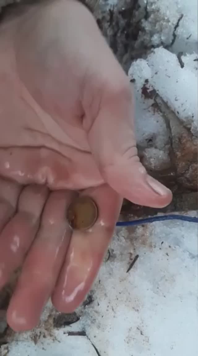 Монетка в немецком блиндаже. смотреть онлайн