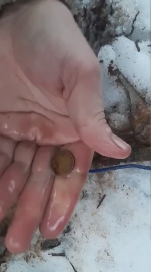 Монетка в немецком блиндаже.