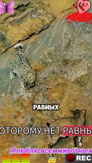 Животные приколы и не только😅