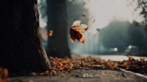 Не зарекайся