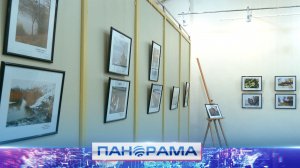 ⚡️ «Неслучайные штрихи»: выставка работ телеоператора Дмитрия Смольникова