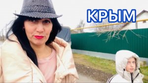 БРОДЯЧИЕ СОБАКИ / обзор КНИГ 📚 Зима