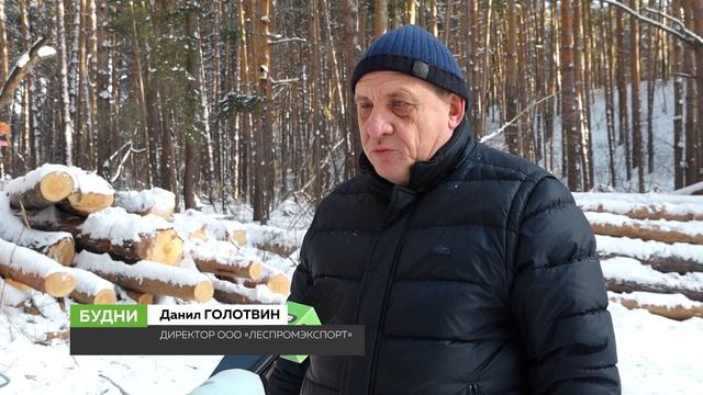 Рубка леса в районе АБ будет продолжена несмотря на протесты бийчан (05.02.26г.,Бийское телевидение) смотреть онлайн