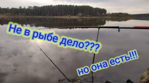 РЫБАЛКА НА УДОЧКУ!!!👆Уклейка сама прыгает в садок👆