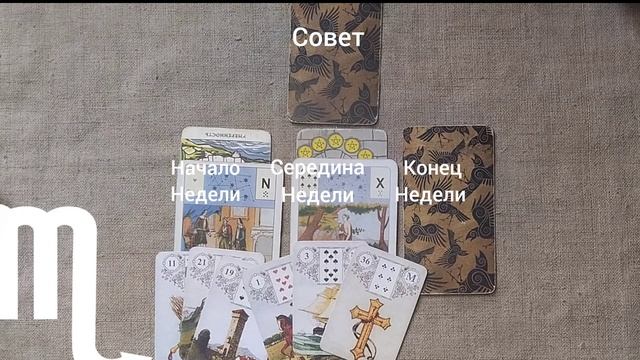 СКОРПИОН ♏ Таро-прогноз на неделю с 9 по 15 февраля смотреть онлайн