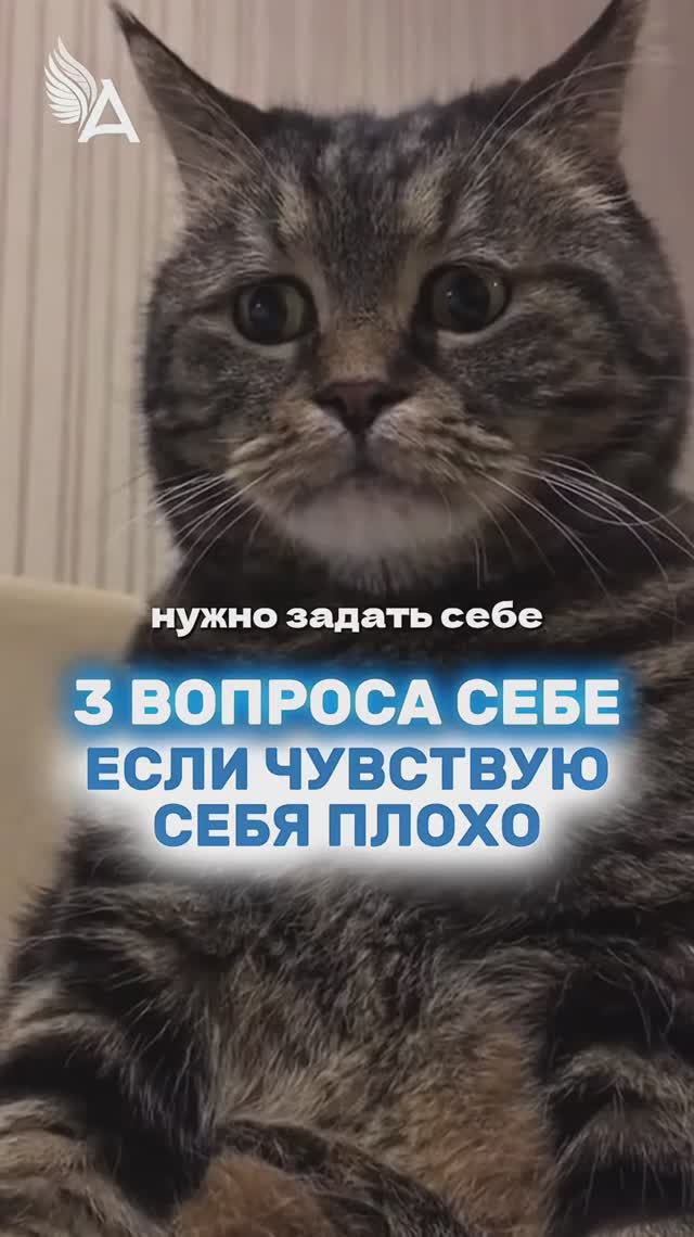 Три вопроса себе, если чувствую себя плохо 🌟 #МихаилАгеев смотреть онлайн