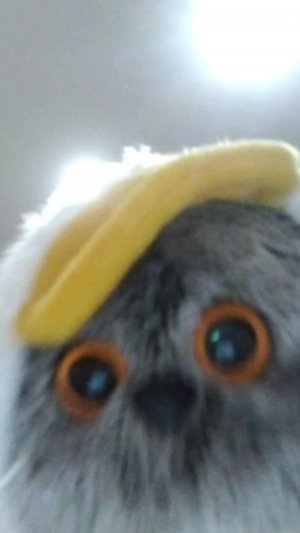 Приправ пирс оопхсоуархойаржйухр