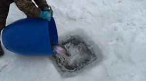 Запуск 06.02.26  88 кг. "Водопад"