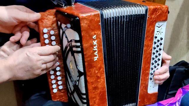 Заброшенная Гармонь из курятника Чайка дает жару ! 2 тест драйв после ремонта и настройки смотреть онлайн