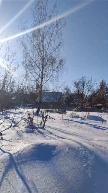 Предоставление в аренде земельного участка смотреть онлайн