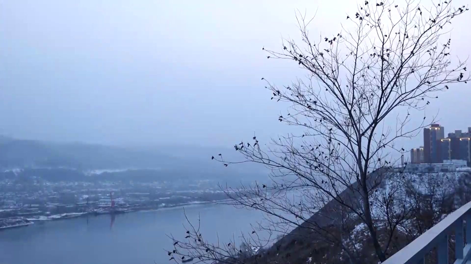 Программа "Главные новости" на 8 канале от 06.02.2026 Часть 2 смотреть онлайн