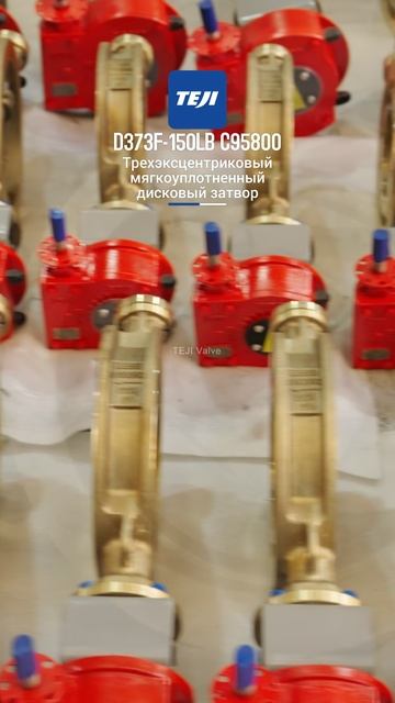 D373F-150LB C95800 Трехэксцентриковый мягкоуплотненный дисковый затвор-TEJI смотреть онлайн