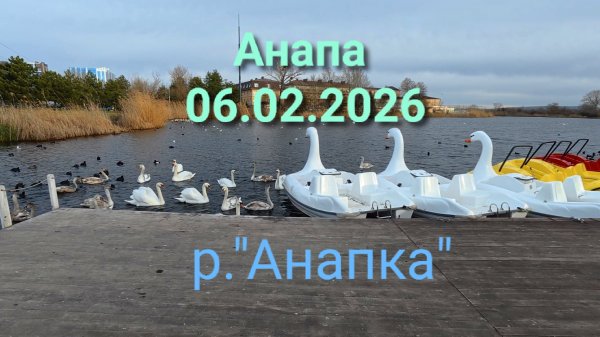 Анапа 06.02.2026 р."Анапка"