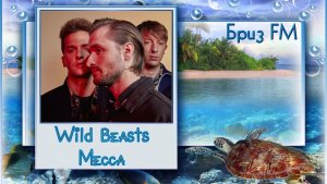 🎬Wild Beasts - Mecca