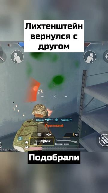 Лихтенштейн вернулся с другом