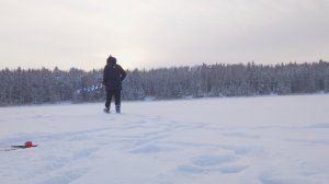 Зимняя рыбалка | В поисках окуня