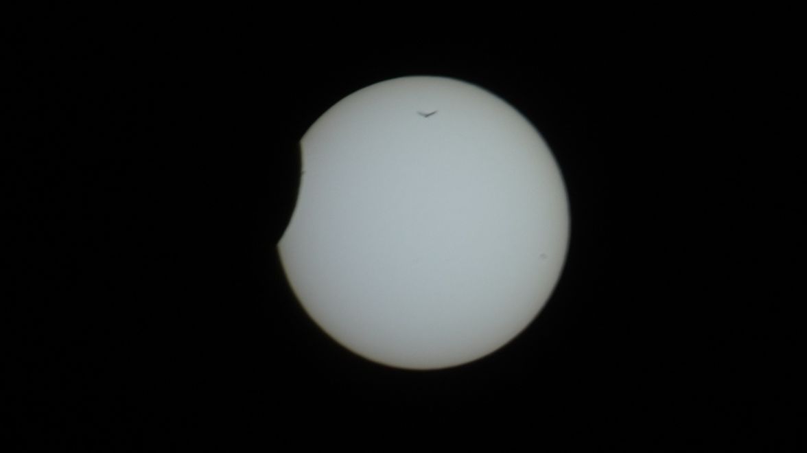 Дед смотреть онлайн