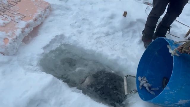 35952.mp4 смотреть онлайн