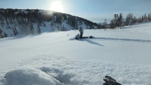 Приисковый 30.01.2026