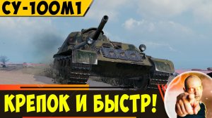 СУ-100М1 | Все Еще Крепок и Быстр!