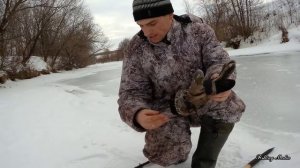 Налим на живца зимой. 3 сезон. 3 серия.(Такого от зимы я не ожидал! Выход на новый лед в феврале)
