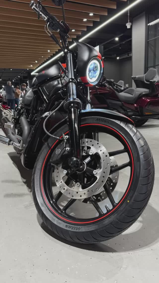 HARLEY-DAVIDSON NIGHT ROD (2008) VIN: 5HD1HHH199K801768 смотреть онлайн