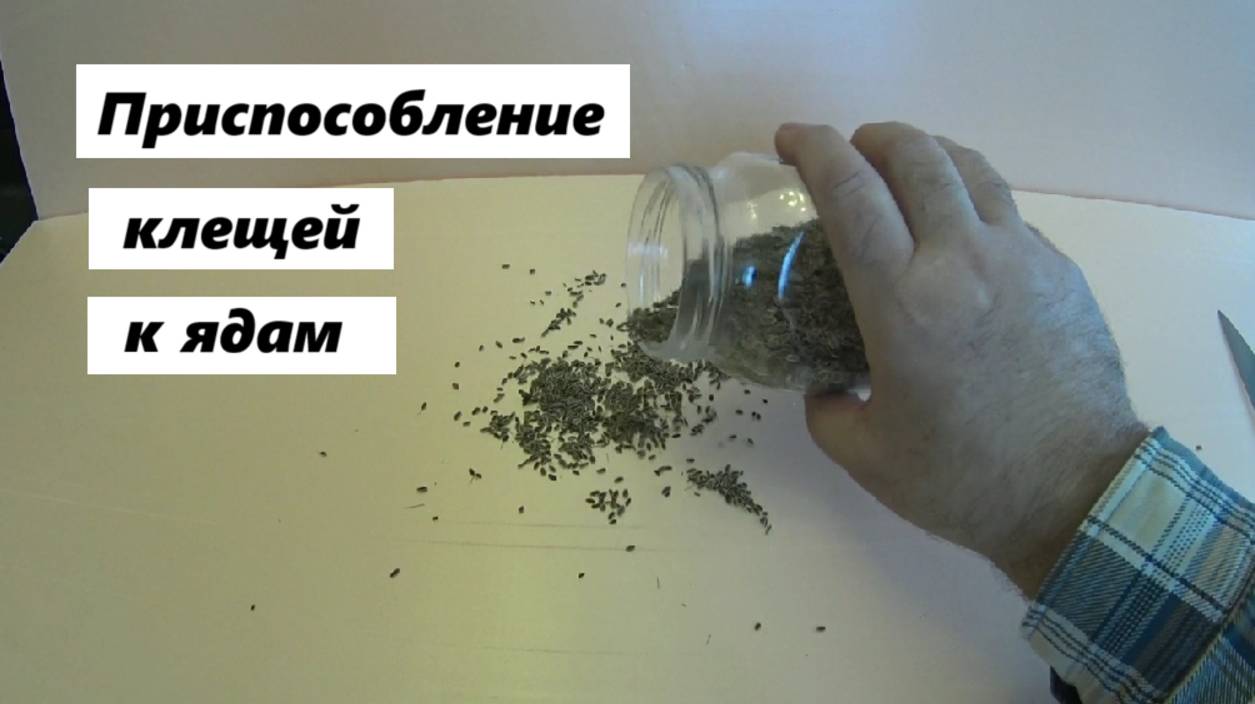 Привыкание клещей к акарицидам смотреть онлайн