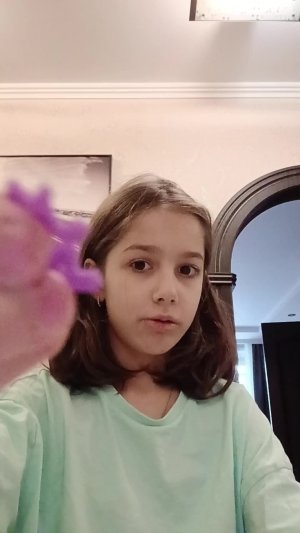 мою сквишь собачек