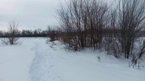 Приозерка, наши дачи, много снега и следы лыж.