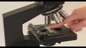 Почему куркума взрывает микробов Результат меня шокировал мыло и чили перец [get.gt]