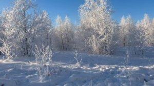 Скрипит снег, ярко светит солнце.
