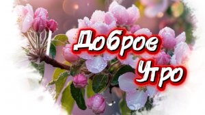 Доброе утро! Пусть в душе поёт соловей. Пожелания доброго утра