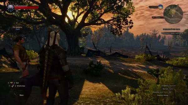 The Witcher: Enhanced Edition