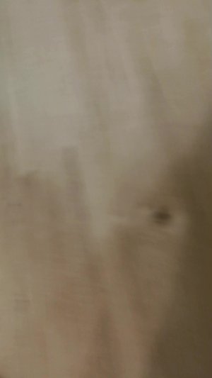 котик танцует мем