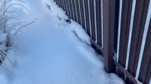 Для чего укладываю пищевые отходы на грядки.