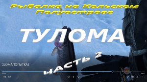 Тулома. Поездка на реку в поисках сбежавшей форели.