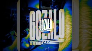 ARIIS - GOZALO - PHONK - SLOWED - 1 ЧАС